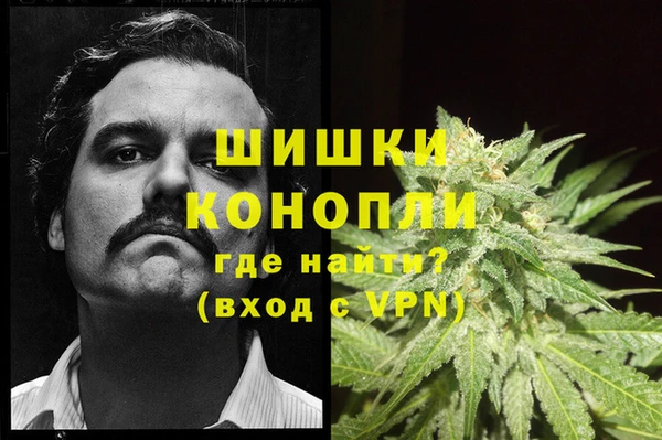 дмт Абинск