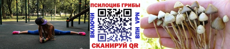 Псилоцибиновые грибы мухоморы  купить наркоту  Североморск 